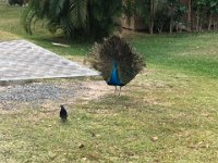 IMG 3003