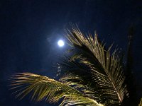 IMG 2794