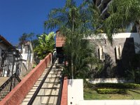 IMG 3655