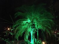 IMG 3682