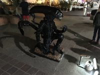 IMG 3694