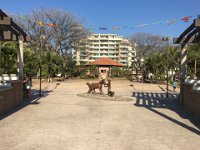 IMG 3838