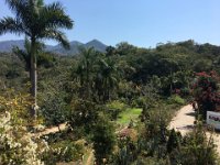Jardin botanic