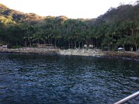 IMG 3736