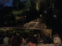 IMG 3763